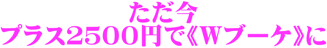 ������ �v���X�Q�T�O�O�~�ŁsW�u�[�P�t��