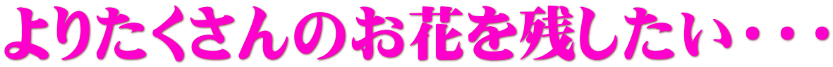 ��肽������̂��Ԃ��c�������E�E�E