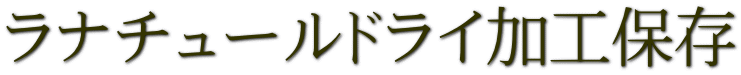 ���i�`���[���h���C
