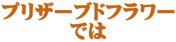 �v���U�[�u�h�t�����[ �ł� 