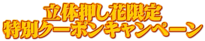 ���̉����Ԍ��� ���ʃN�[�|���L�����y�[��