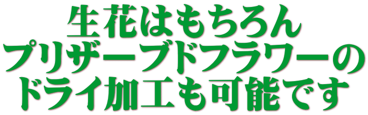 ���Ԃ͂������ �v���U�[�u�h�t�����[�� �h���C���H���\�ł�