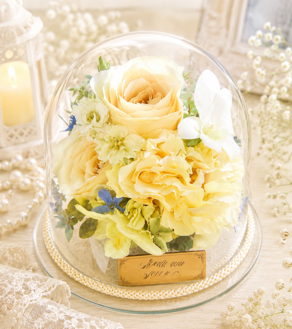 �K���X�h�[���ۑ����H��i����@���o��