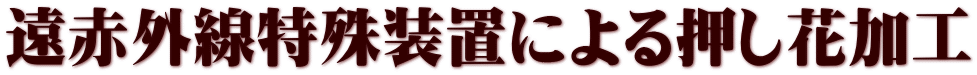 遠赤外線特殊装置による押し花加工