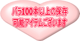 �o��100�{�ȏ�̕ۑ� �\�A�C�e���������܂� 