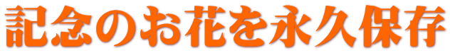 記念のお花を永久保存
