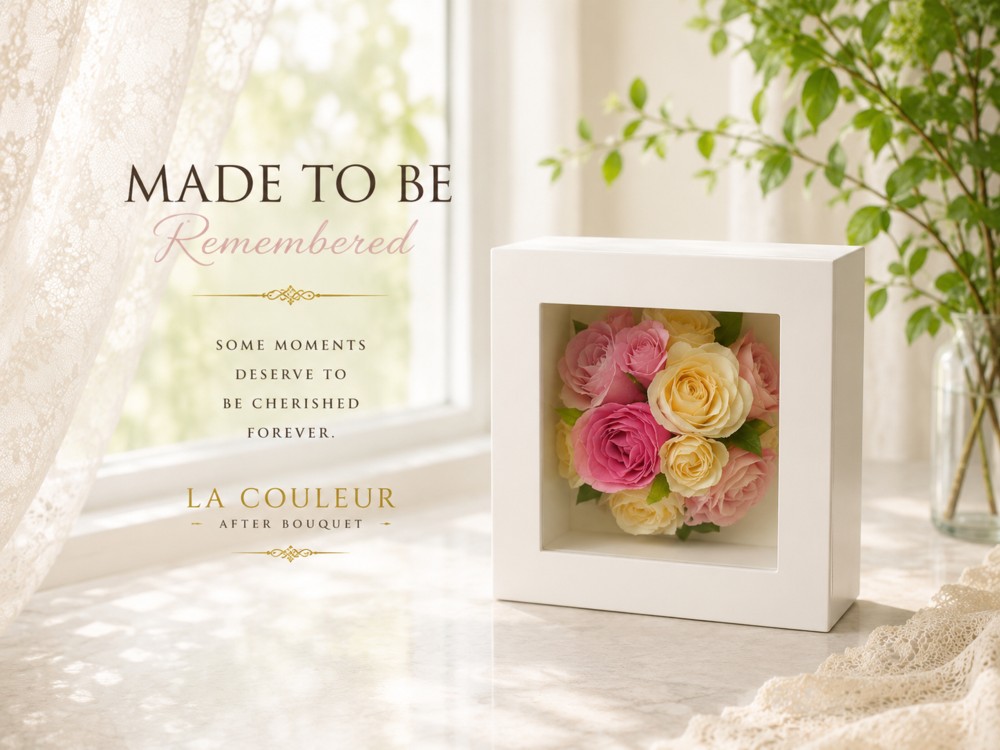 �L���[�uS