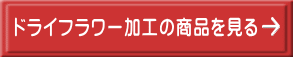 ドライフラワー加工の商品を見る