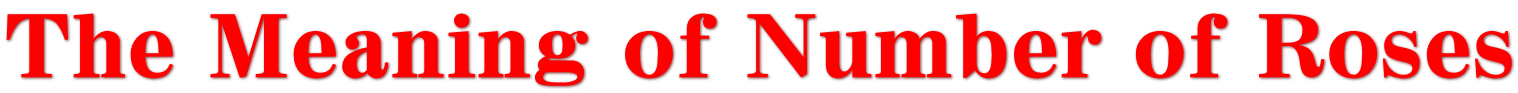 The Meaning of Number of Roses